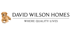 David wilson